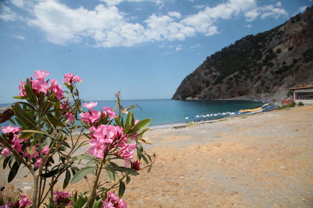 Paralia Guest House أجيا روميلي المظهر الخارجي الصورة