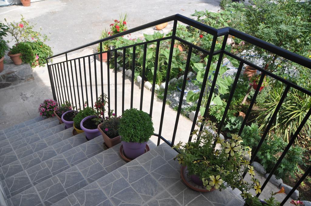 Paralia Guest House أجيا روميلي المظهر الخارجي الصورة